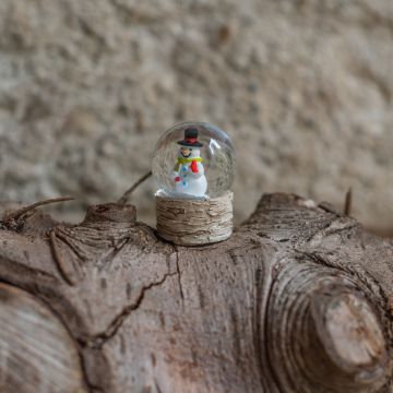 Snowman Snowglobe